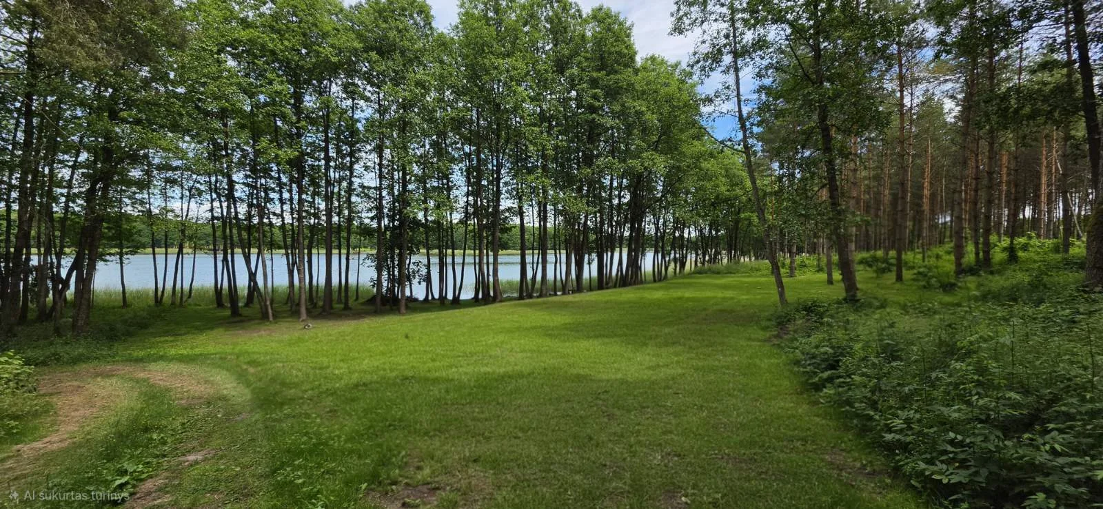 Sklypas Lazdijų rajono sav., Radvilonyse, Radvilonių g. – nuotrauka 5