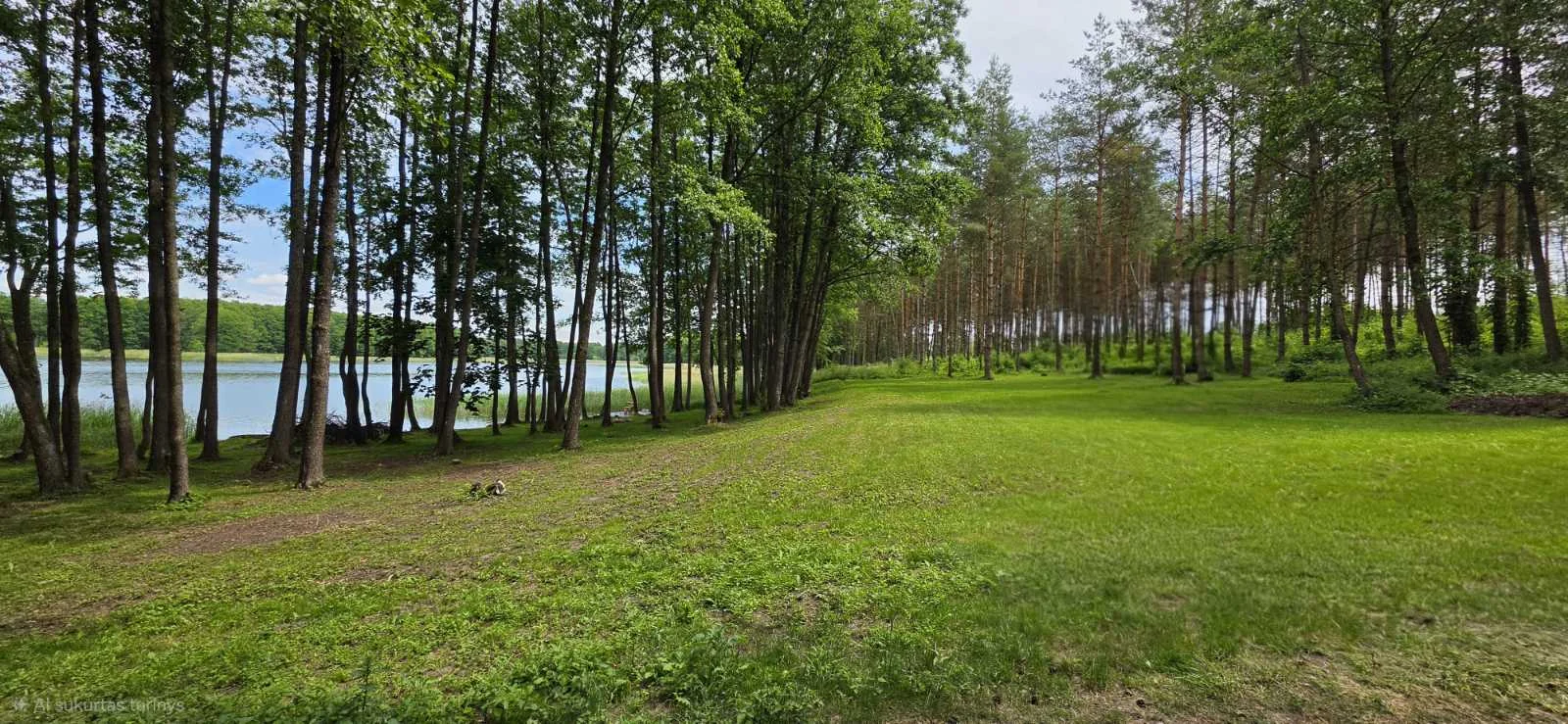 Sklypas Lazdijų rajono sav., Radvilonyse, Radvilonių g. – nuotrauka 4