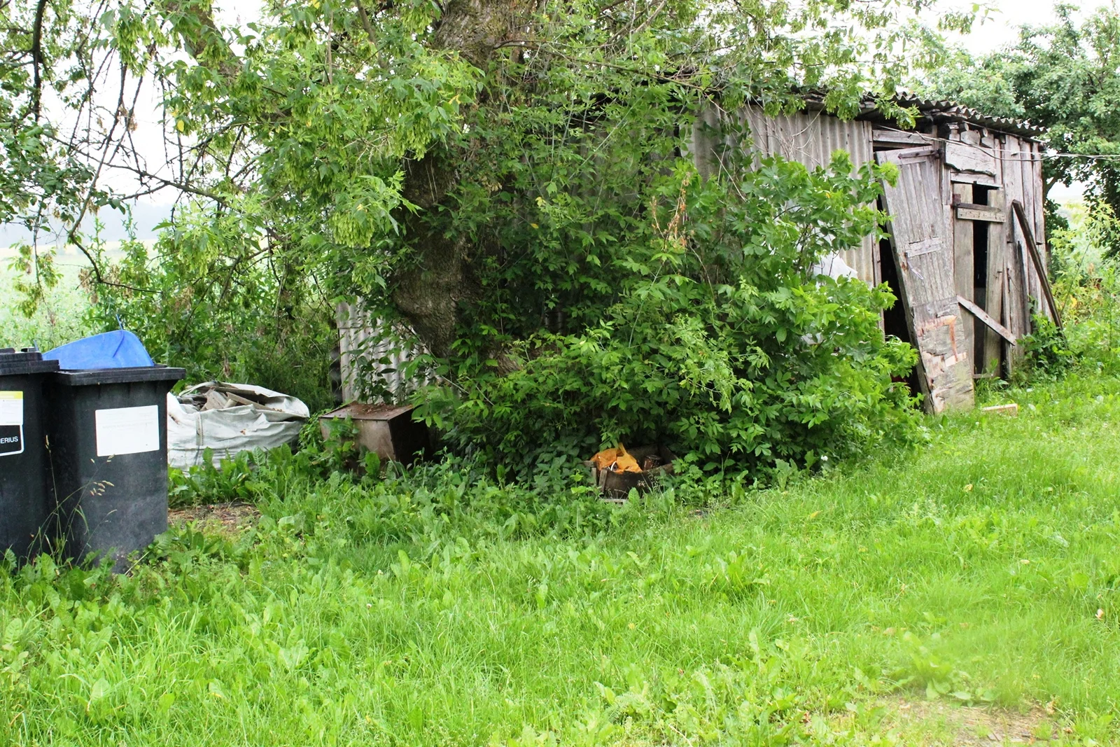 Dvaro g., Beinorava, 4 kamb. – nuotrauka 5