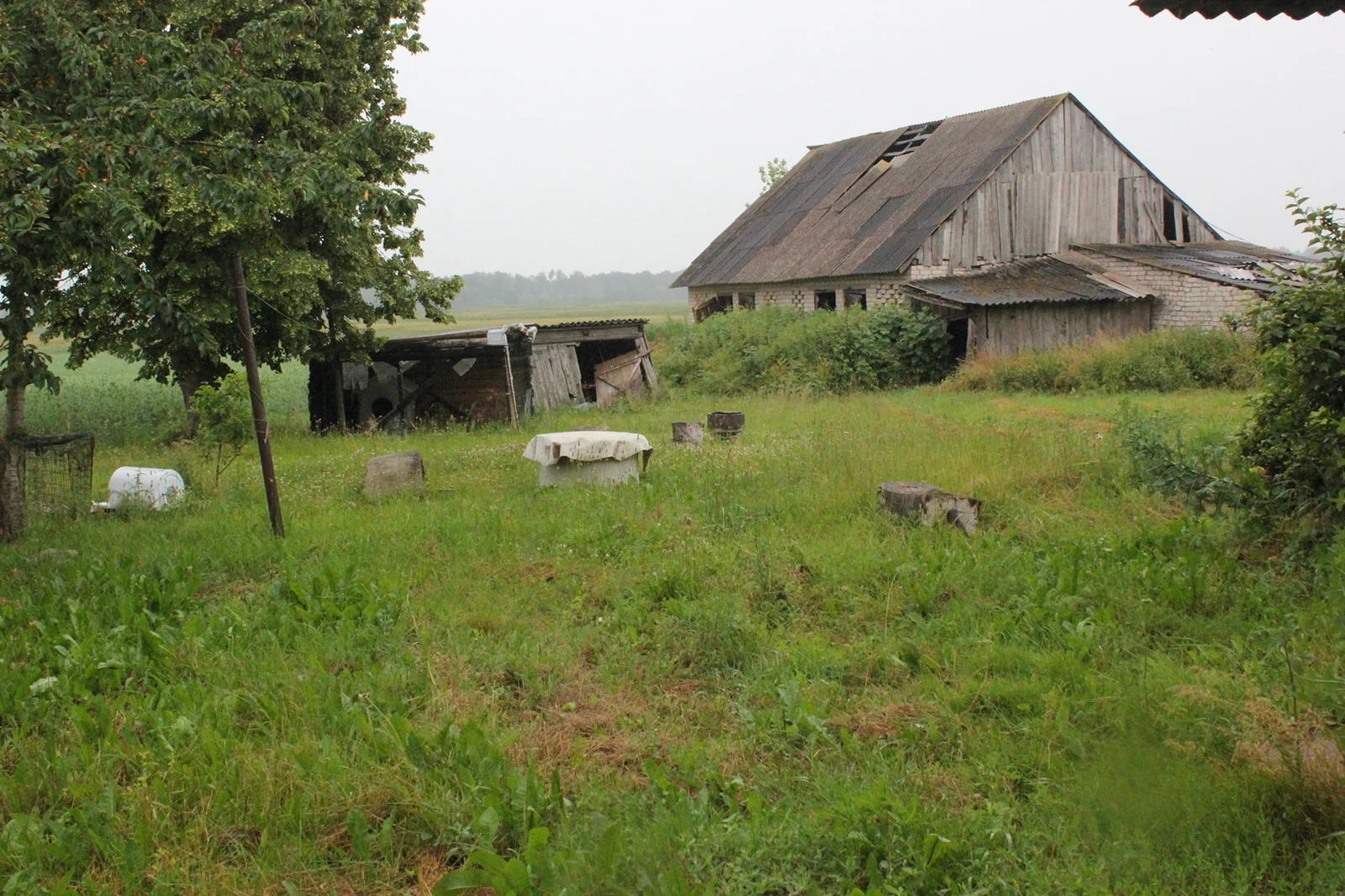 Dvaro g., Beinorava, 4 kamb. – nuotrauka 6