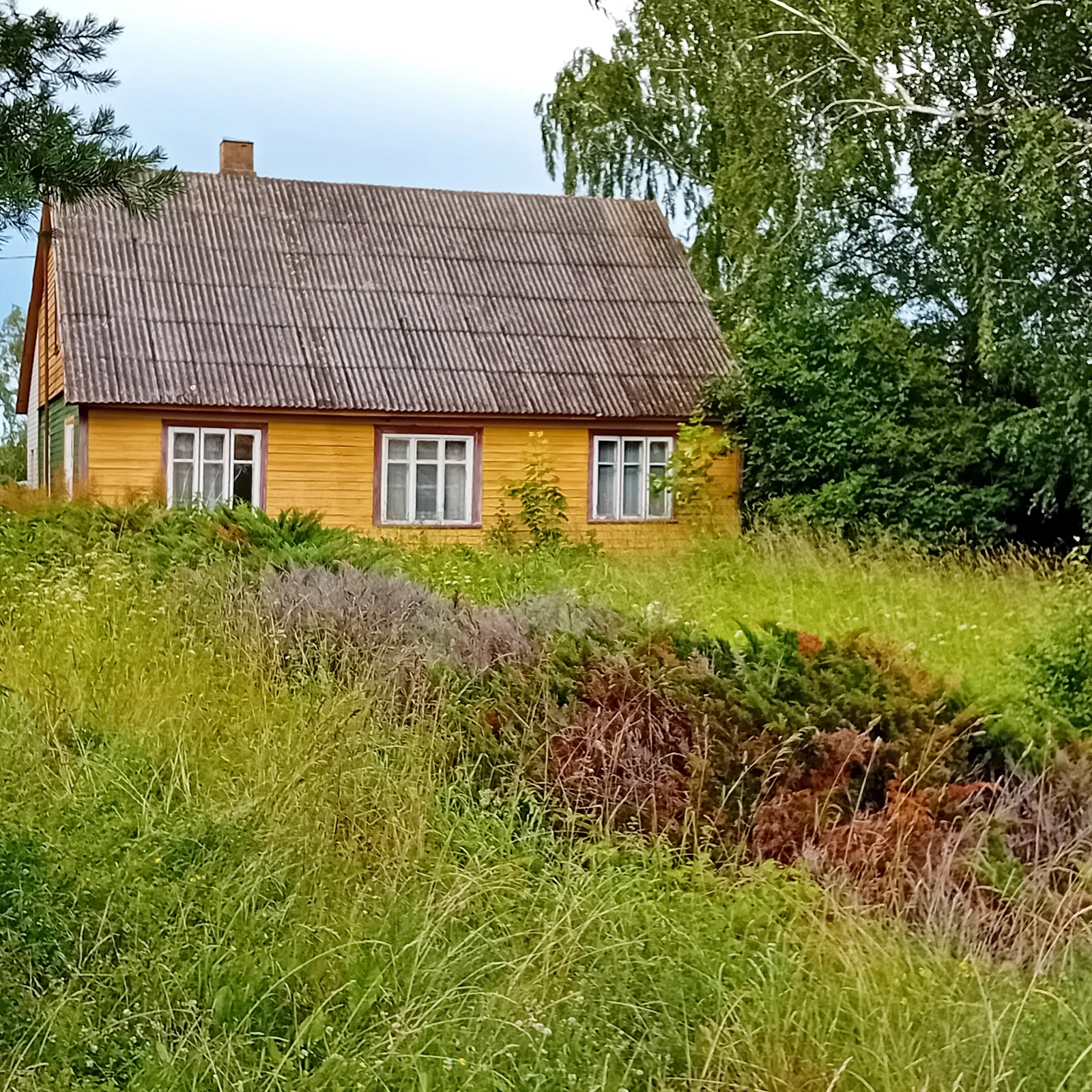 Sodyba Pakruojo rajono sav., Sodeliškiuose – nuotrauka 5