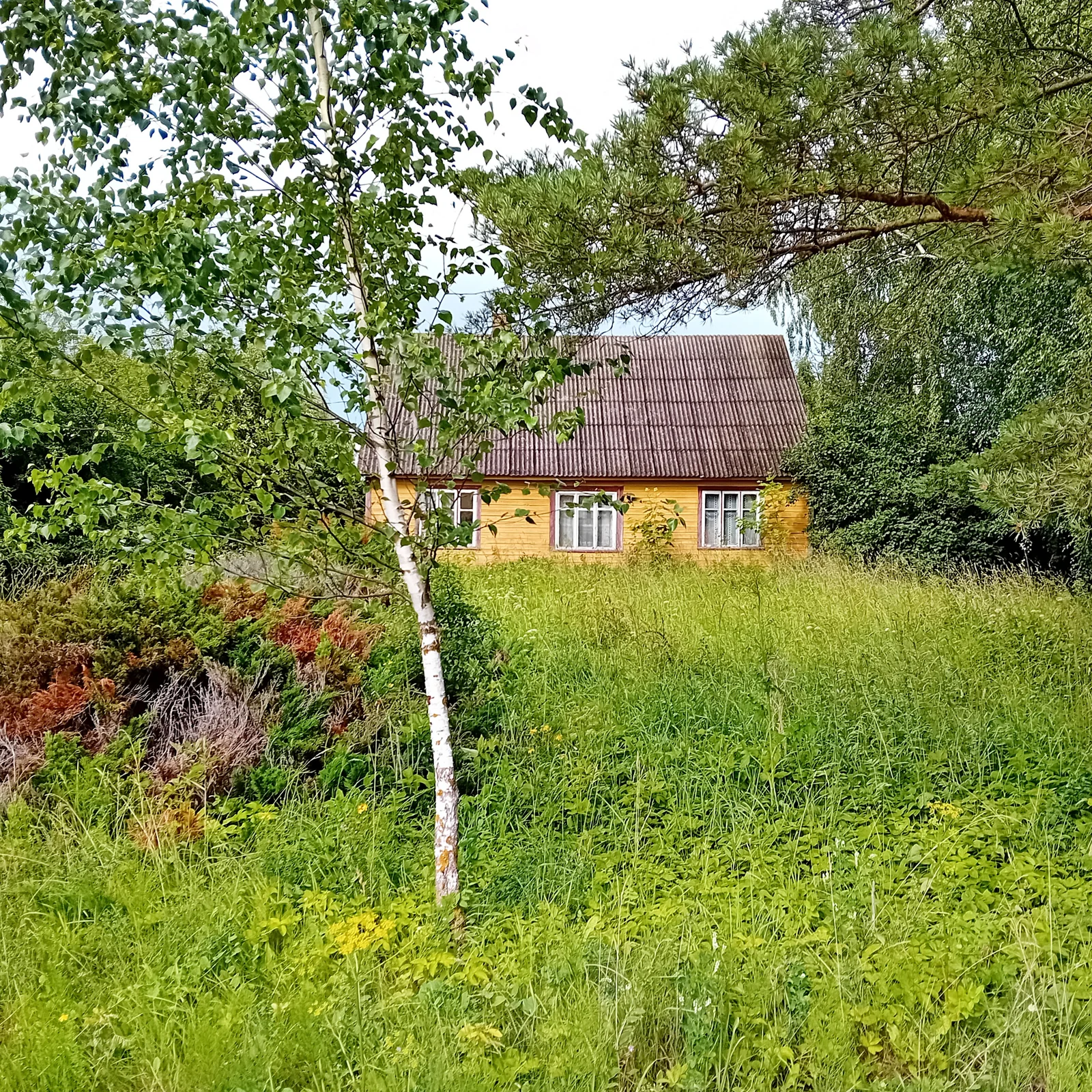 Sodyba Pakruojo rajono sav., Sodeliškiuose – nuotrauka 6