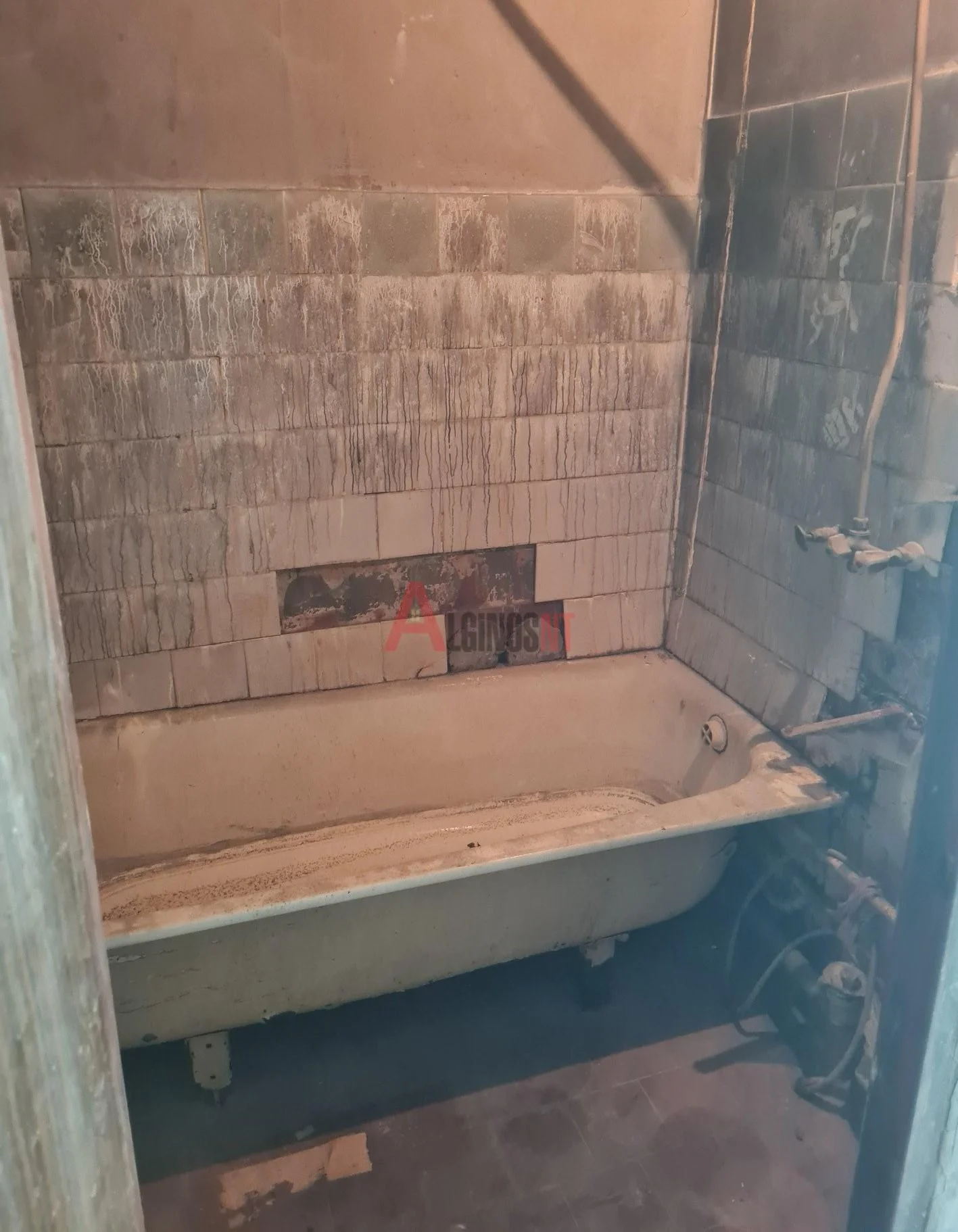 Kuncų g., Bandužiai, Klaipėda, 2 kamb. – nuotrauka 4