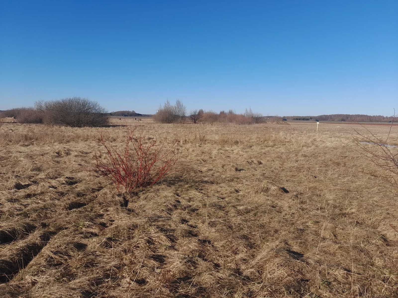Sklypas Klaipėdos rajono sav., Šlapšilėje, Žiburių g. – nuotrauka 5