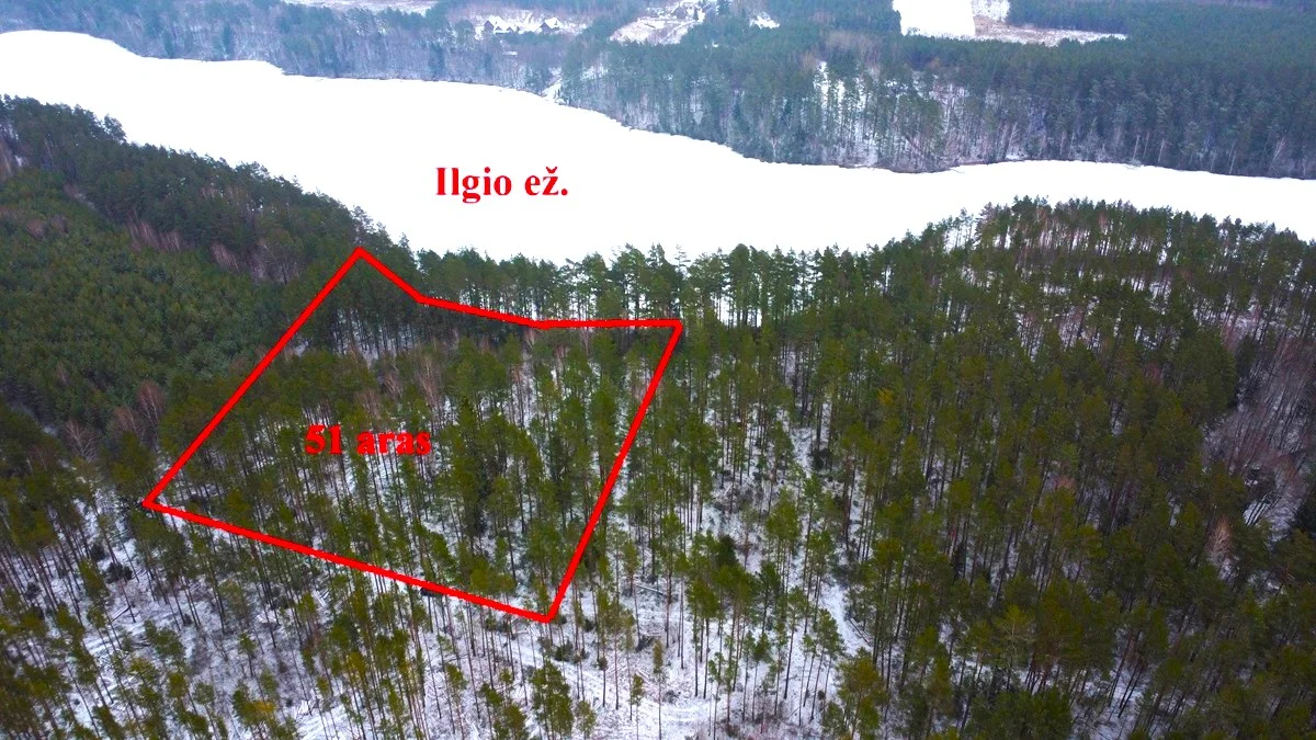 Sklypas Lazdijų rajono sav., Bertašiūnuose – nuotrauka 4
