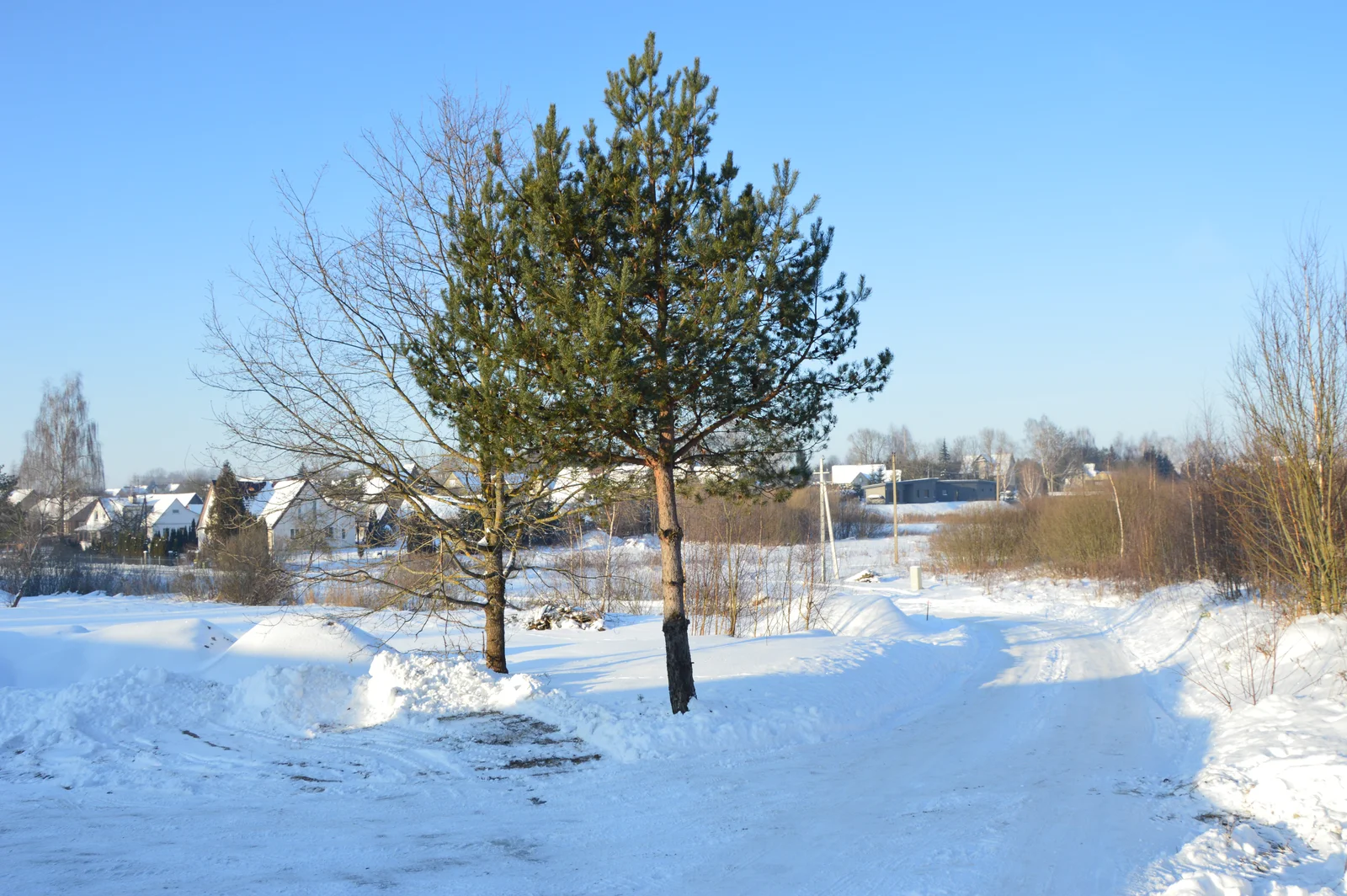 Sklypas Vilniuje Skaidiškėse, Stirnų g. – nuotrauka 3