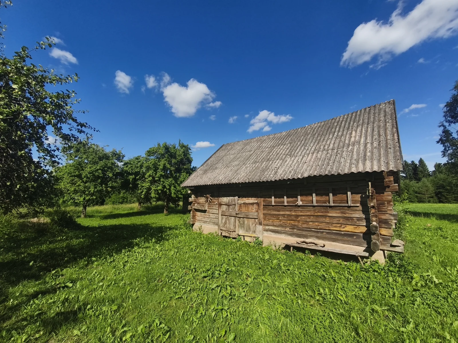 Sodyba Anykščių rajono sav., Čiukuose – nuotrauka 4