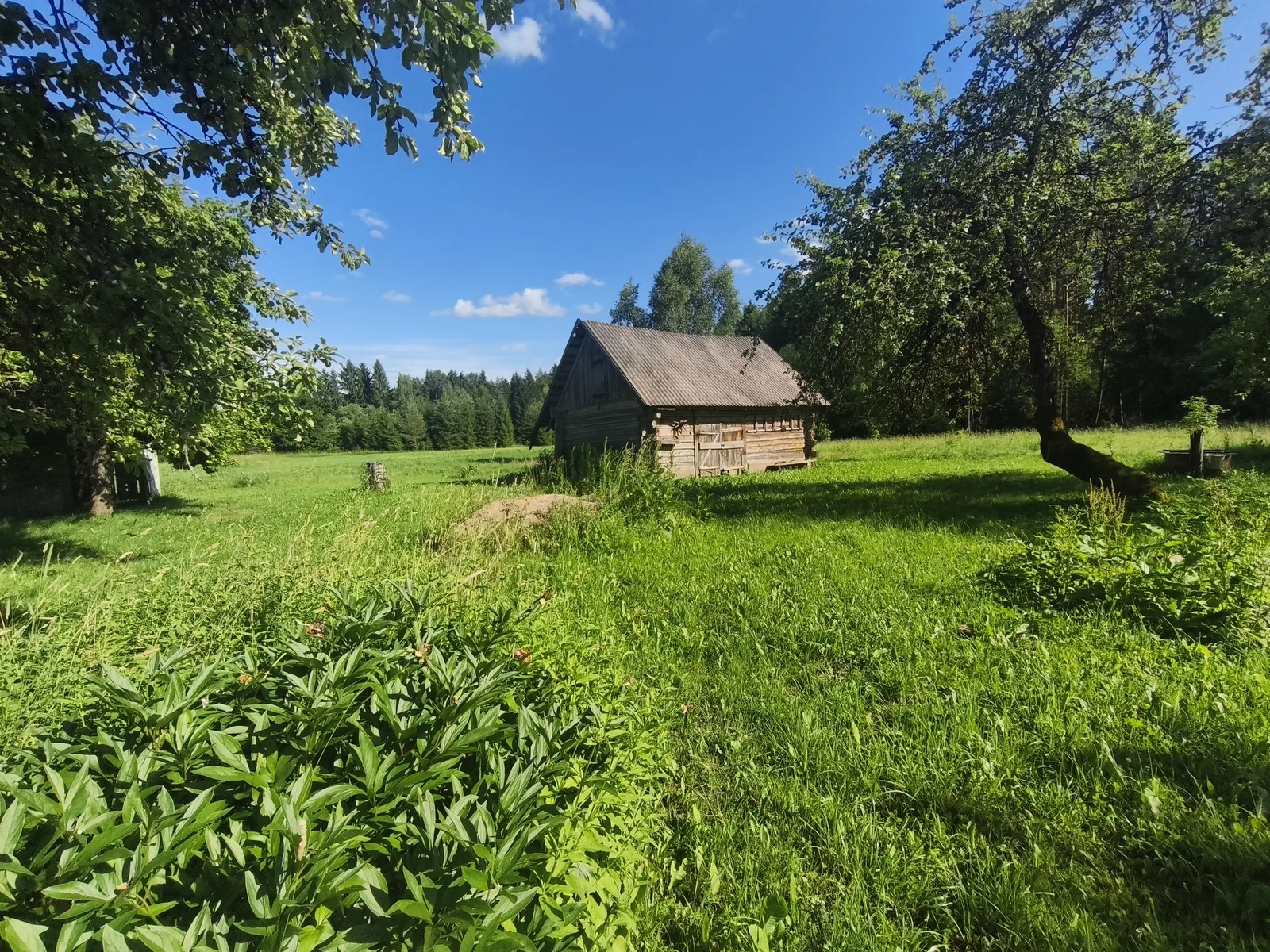 Sodyba Anykščių rajono sav., Čiukuose – nuotrauka 5
