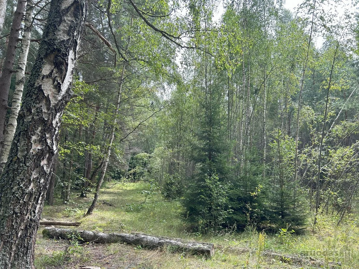 Sklypas Zarasų rajono sav., Kloviškiuose – nuotrauka 6
