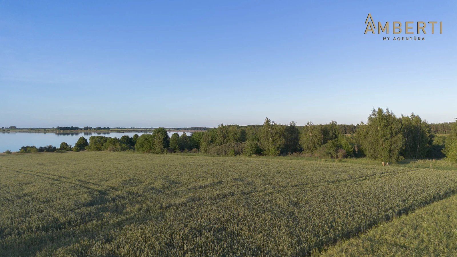 Sklypas Šiaulių rajono sav., Bacioniuose – nuotrauka 6