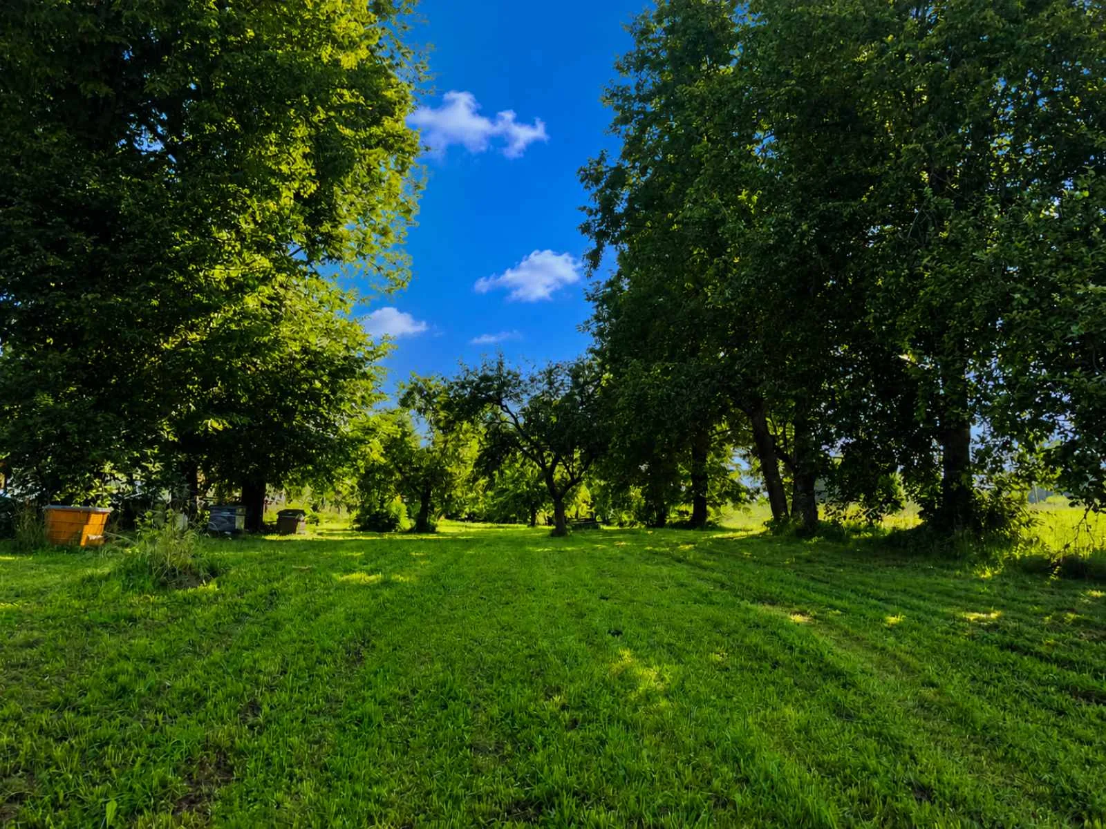 Sodyba Anykščių rajono sav., Gikonyse, Gikonių g. – nuotrauka 6