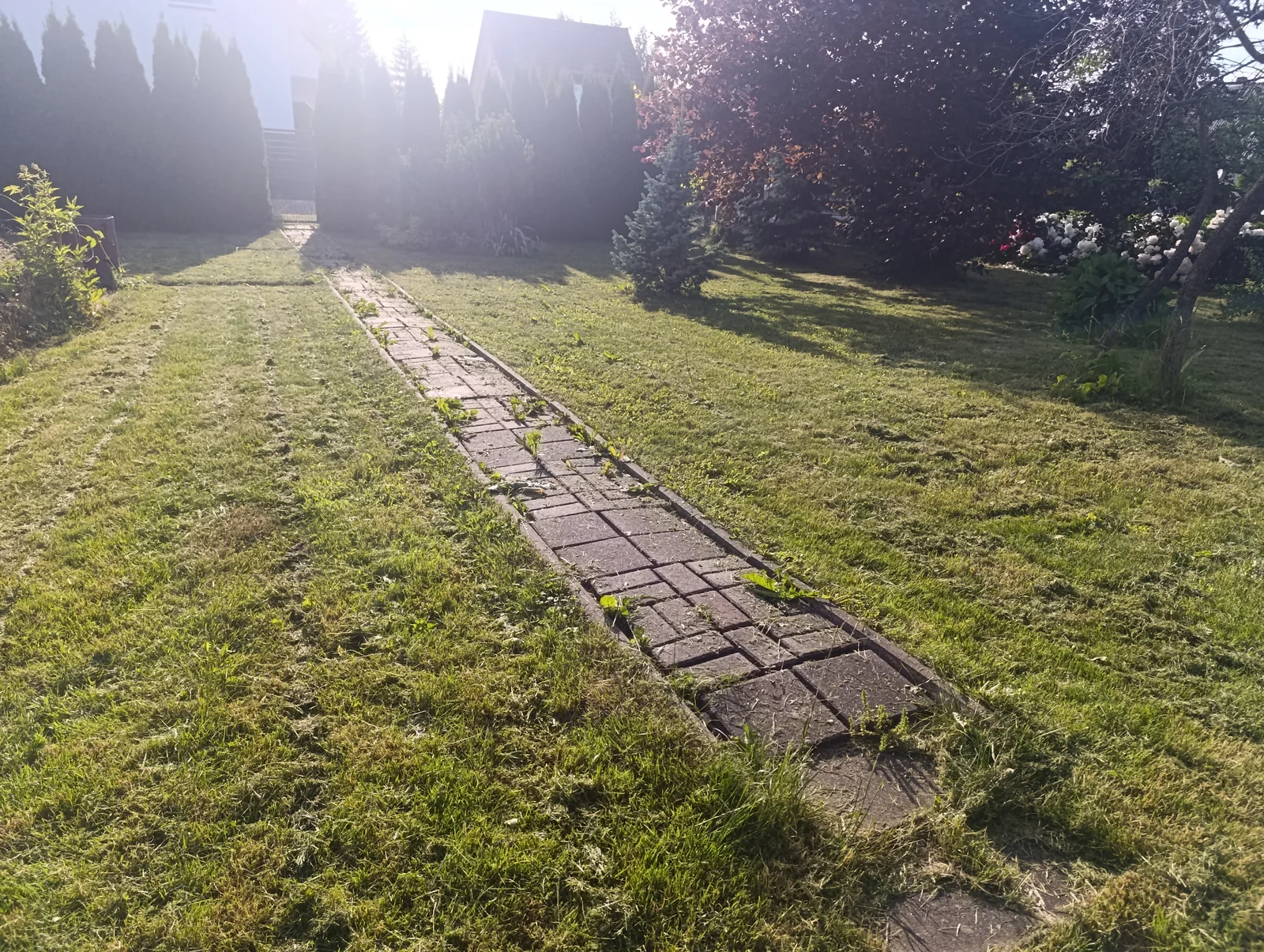 Sodo namas Klaipėdos rajono sav., Gargžduose, Žemasis tak. – nuotrauka 6
