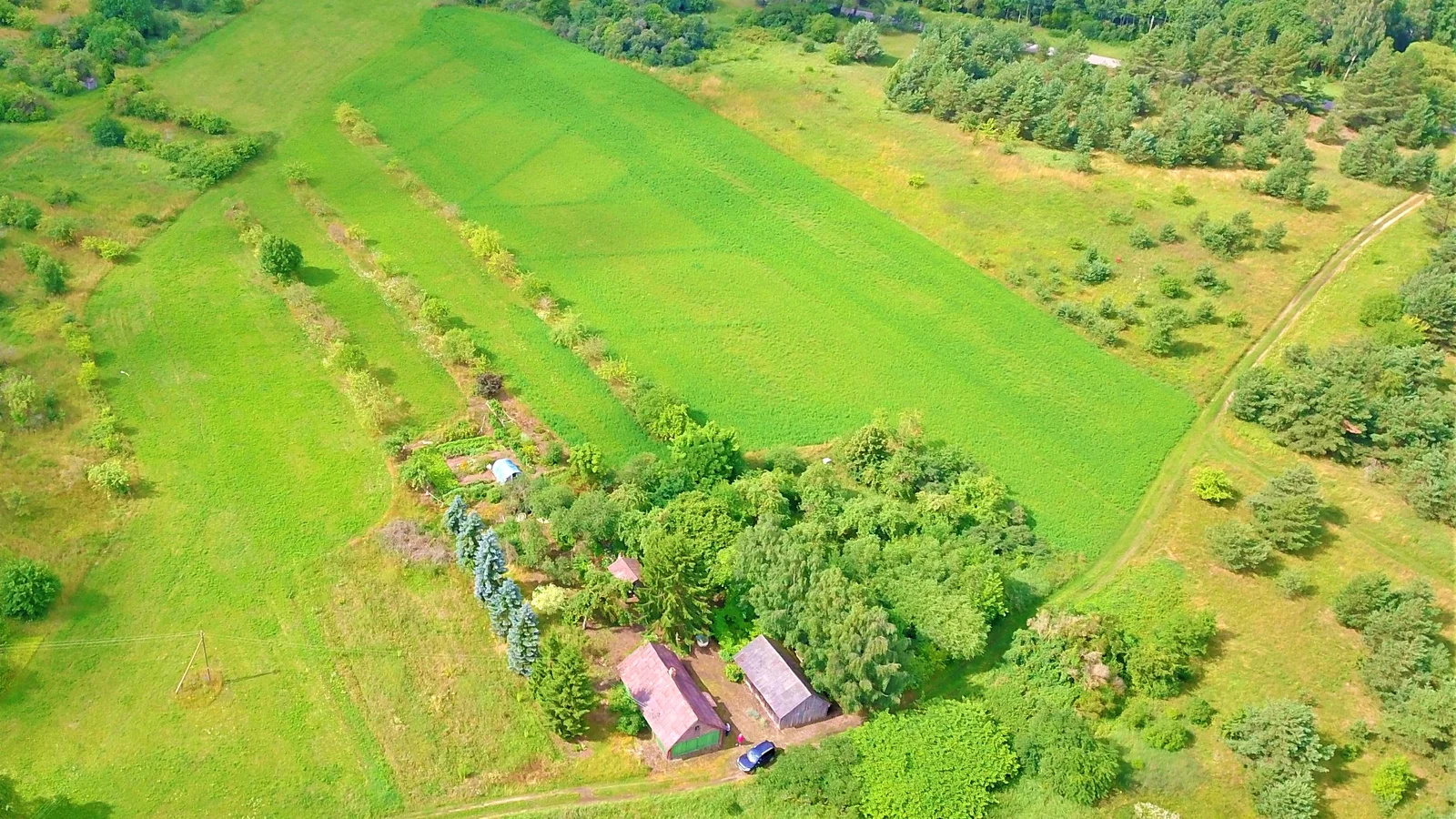 Sodyba Radviliškio rajono sav., Piepaliukuose – nuotrauka 3