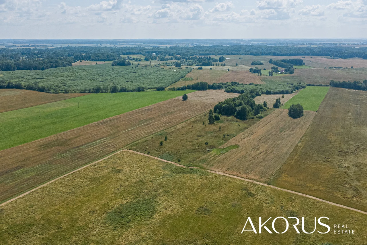 Sklypas Širvintų rajono sav., Levaniškėse, Granito g. – nuotrauka 6