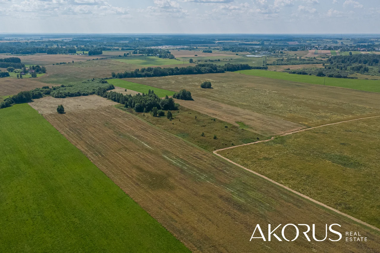 Sklypas Širvintų rajono sav., Levaniškėse, Granito g. – nuotrauka 5