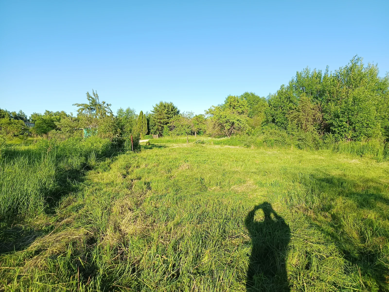 Sklypas Akmenės rajono sav., Naujoji Akmenė, Ievų g. – nuotrauka 4
