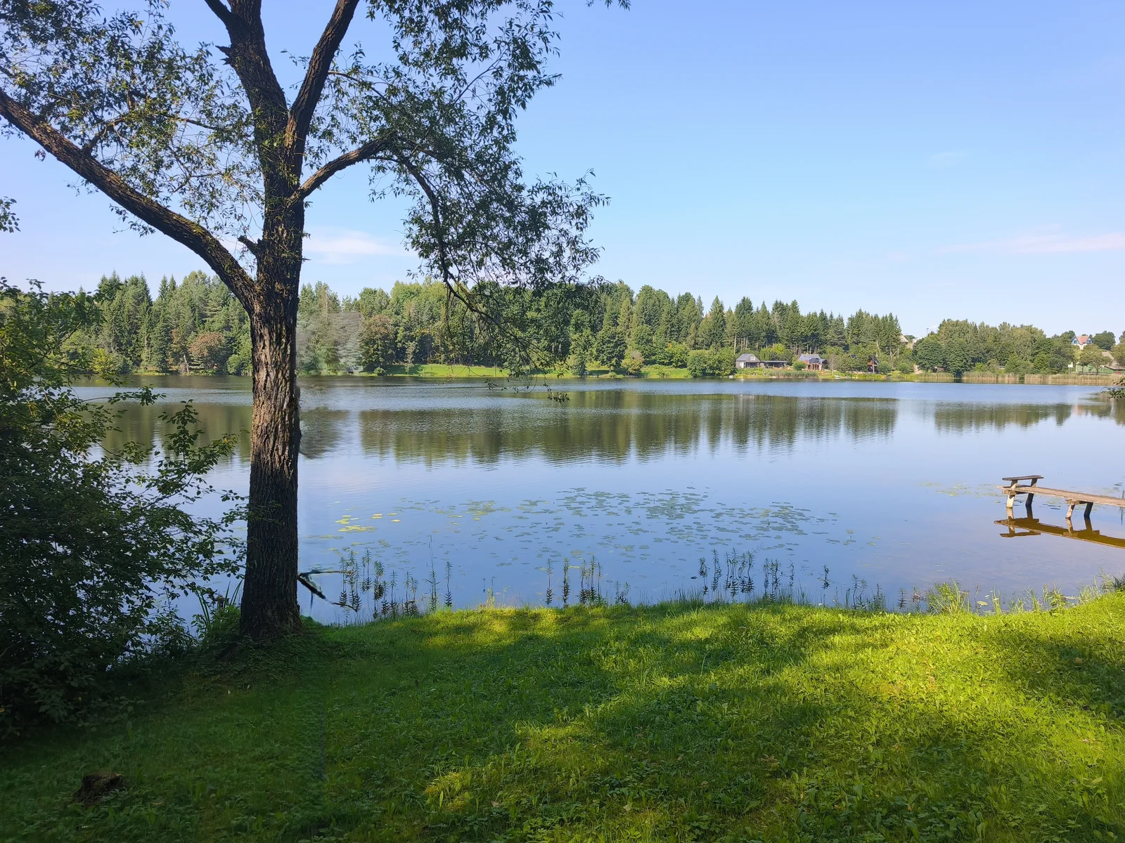 Sklypas Utenos rajono sav., Tauragnuose, Kuktiškių g. – nuotrauka 2