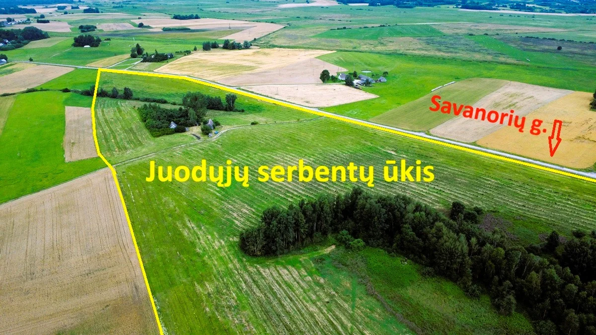 Sodyba Lazdijų rajono sav., Naujoji Kirsna, Savanorių g. – nuotrauka 4