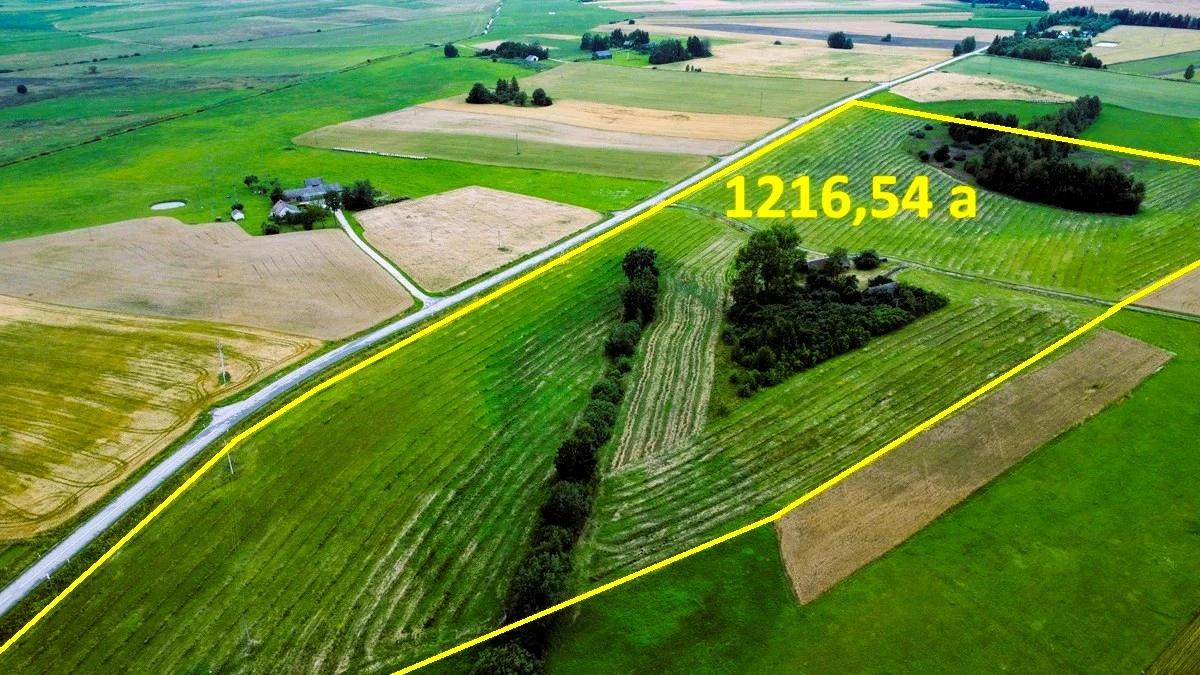 Sodyba Lazdijų rajono sav., Naujoji Kirsna, Savanorių g. – nuotrauka 3