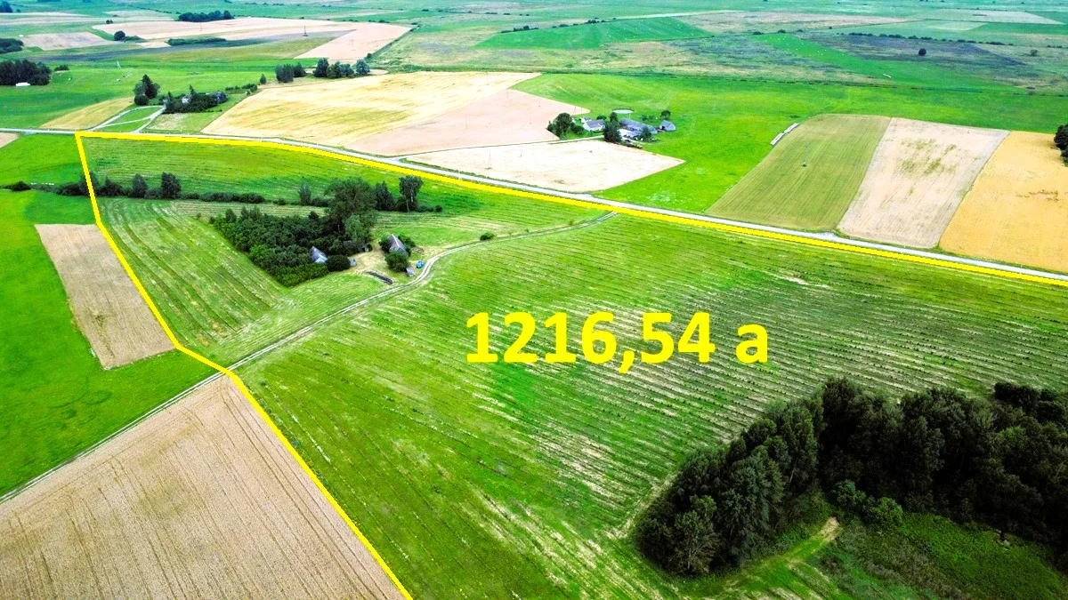 Sodyba Lazdijų rajono sav., Naujoji Kirsna, Savanorių g. – nuotrauka 5