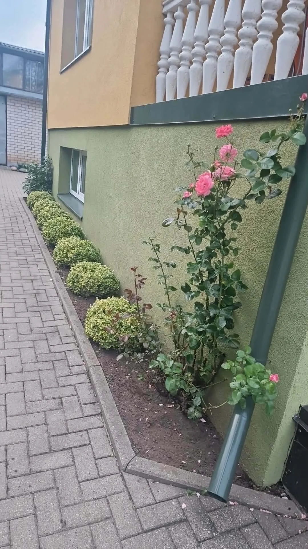 Gyvenamasis namas Tauragės rajono sav., Tauragėje, Tilto g. – nuotrauka 4