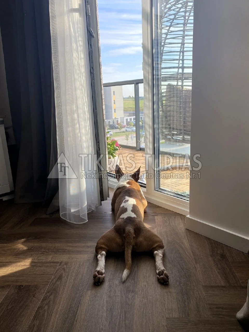 Ragainės g. 9, Paupiai, Klaipėda, 2 kamb. – nuotrauka 4