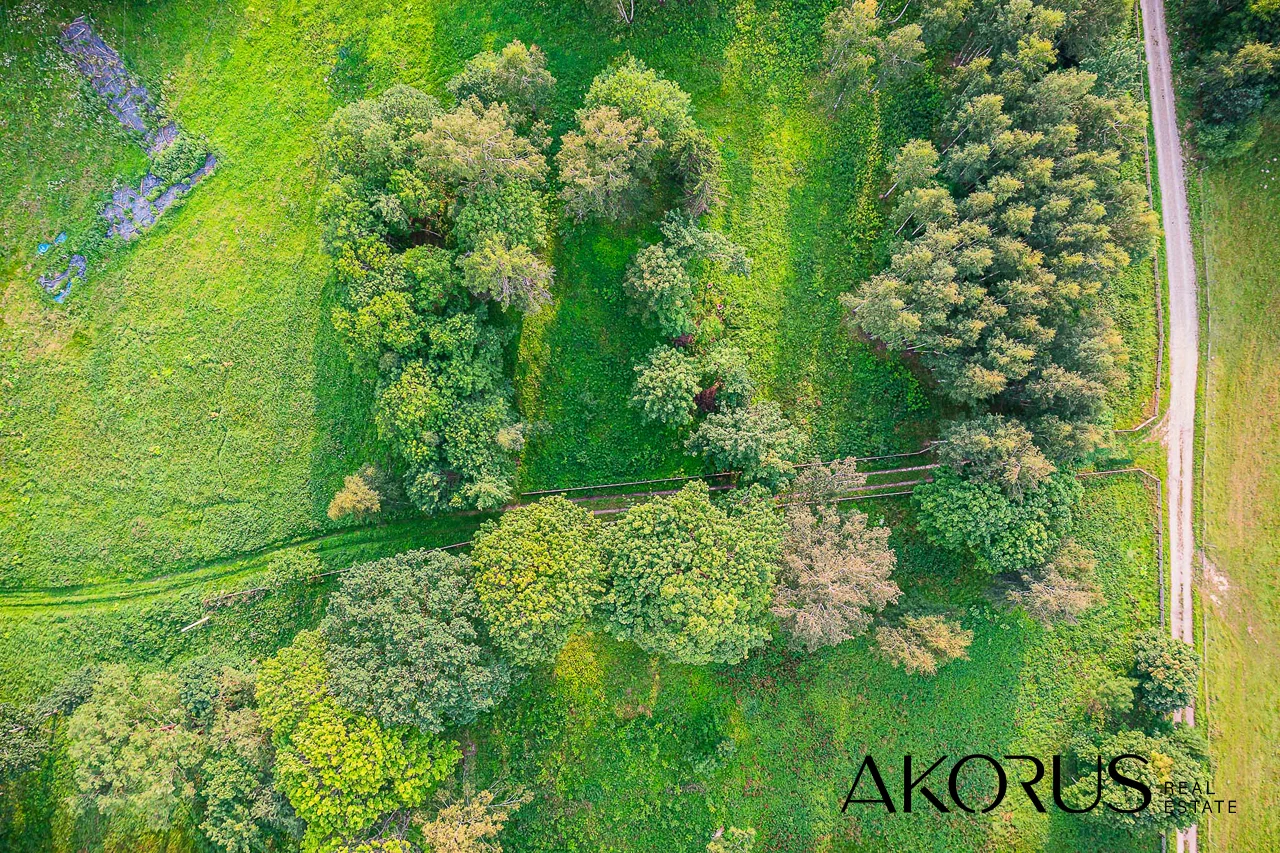 Sklypas Šiaulių rajono sav., Čeprečiškėje – nuotrauka 6
