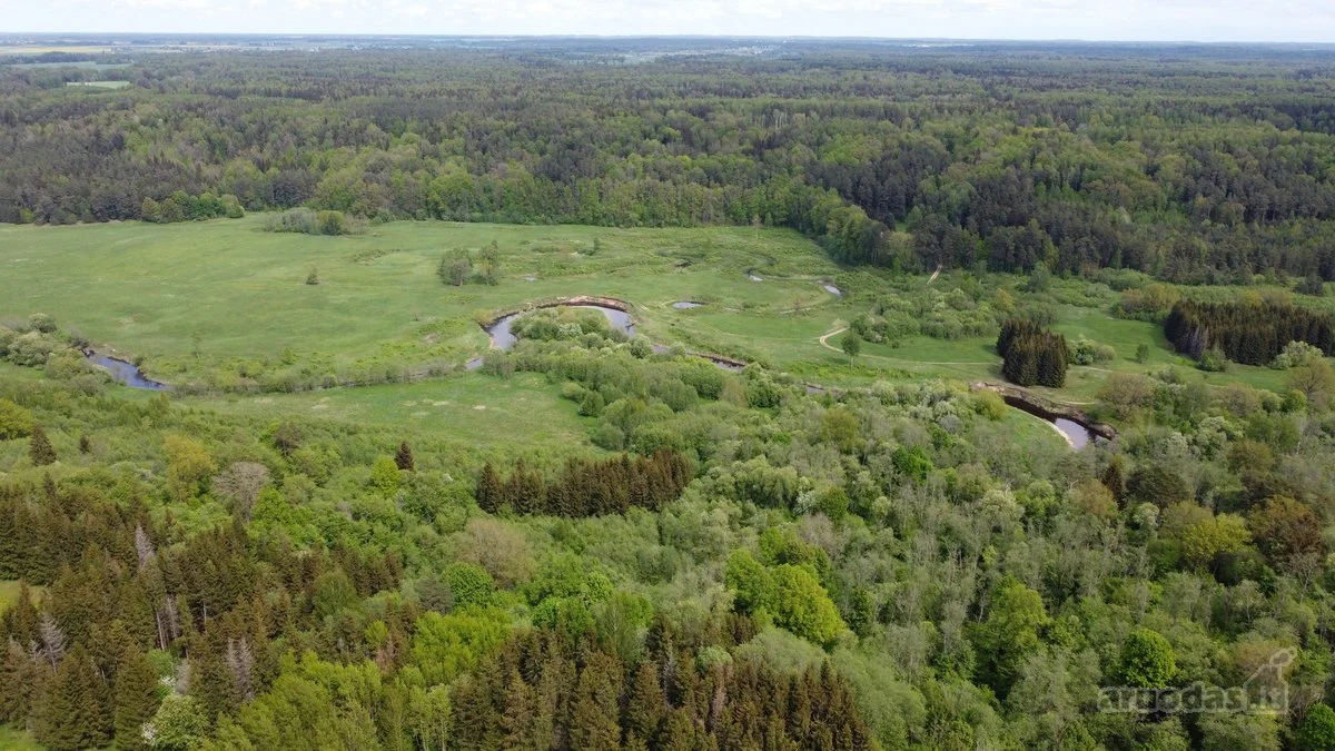 Sklypas Kelmės rajono sav., Laugalyje, Parko g. – nuotrauka 6