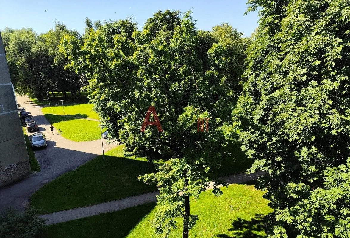 Baltijos pr., Baltijos, Klaipėda, 1 kamb. – nuotrauka 5