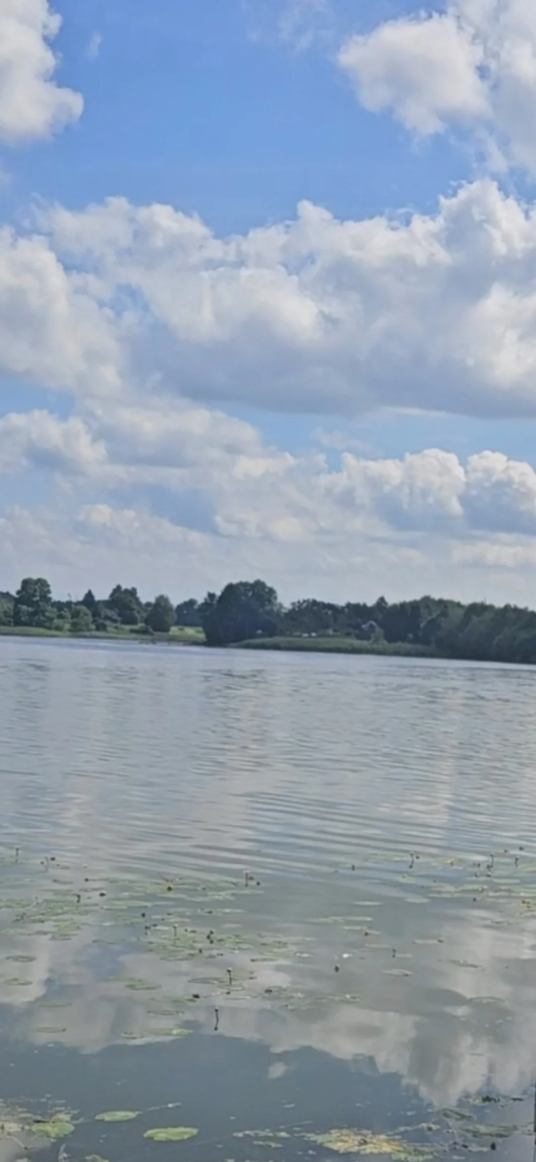 Sklypas Panevėžio rajono sav., Ėriškiuose, Žaibgalos g. – nuotrauka 3