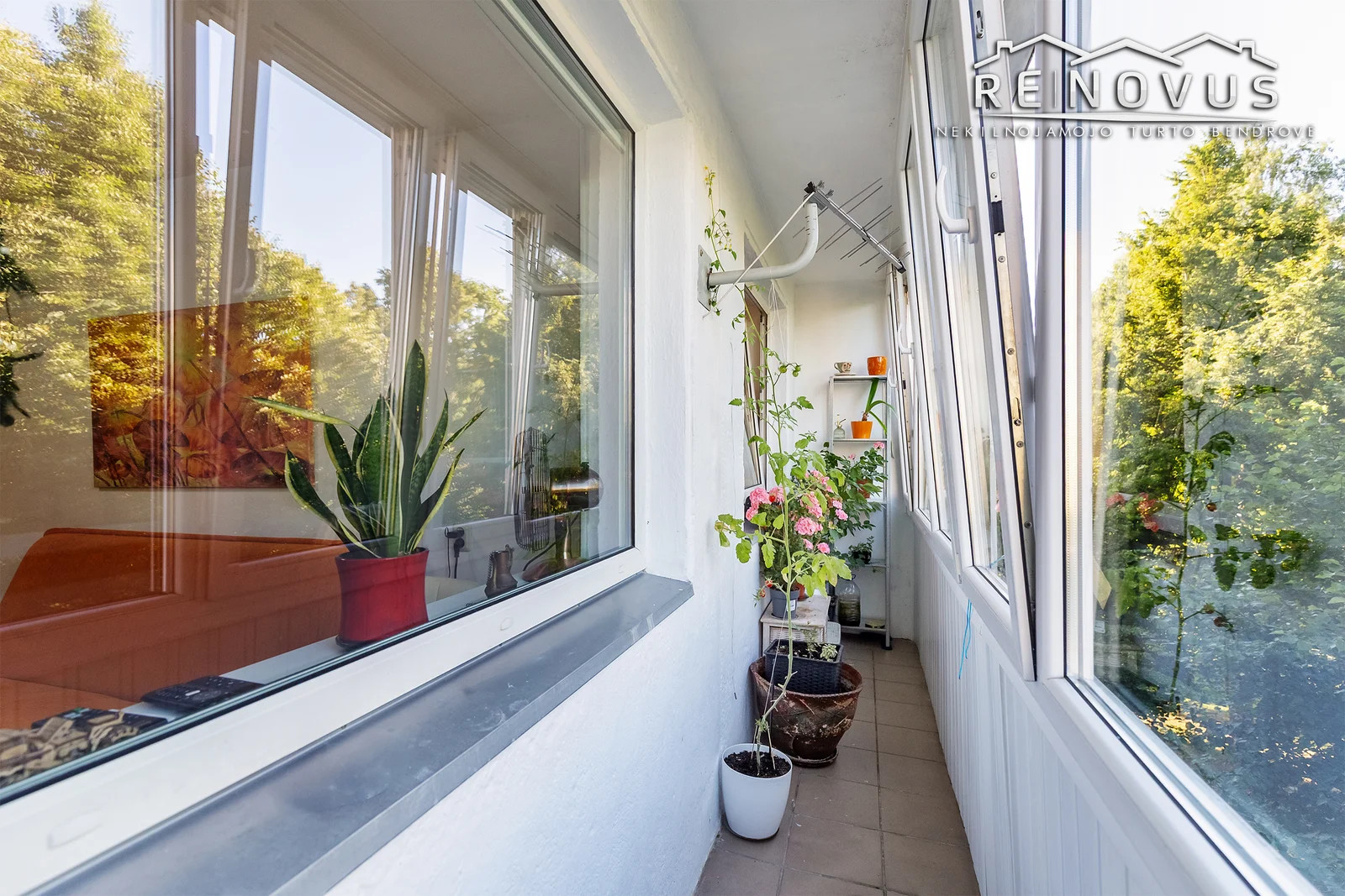 Lieporių g., Lieporiai, Šiauliai, 1 kamb. – nuotrauka 5