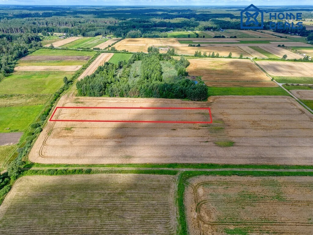 Sklypas Kauno rajono sav., Dievogaloje, Dievogalos g. – nuotrauka 6
