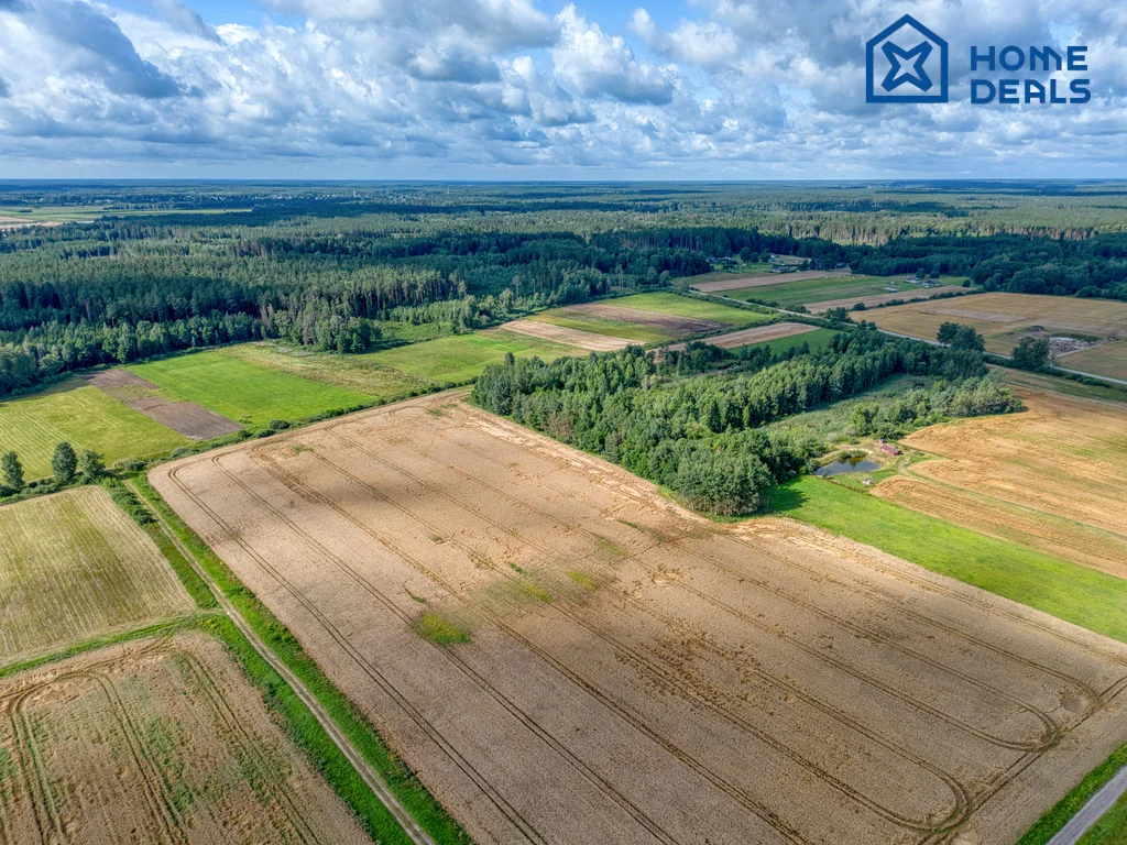 Sklypas Kauno rajono sav., Dievogaloje, Dievogalos g. – nuotrauka 3