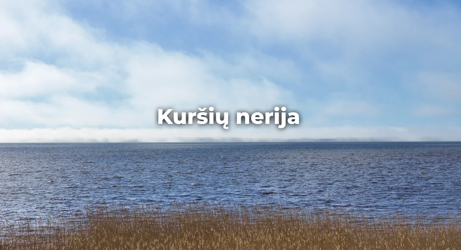 Gyvenamasis namas Klaipėdos rajono sav., Svencelėje, Svencelės g. – nuotrauka 3