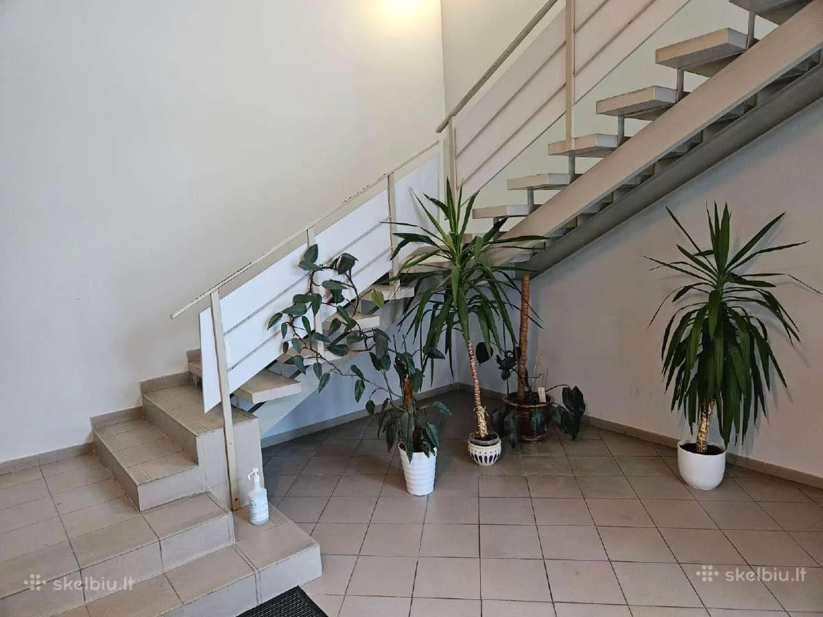 Biurui / Prekybos/paslaugų nuoma Panevėžyje Centre, V. Kudirkos g. – nuotrauka 3