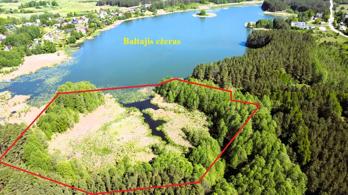 Sklypas Lazdijų rajono sav., Papalazdijai II – nuotrauka 3