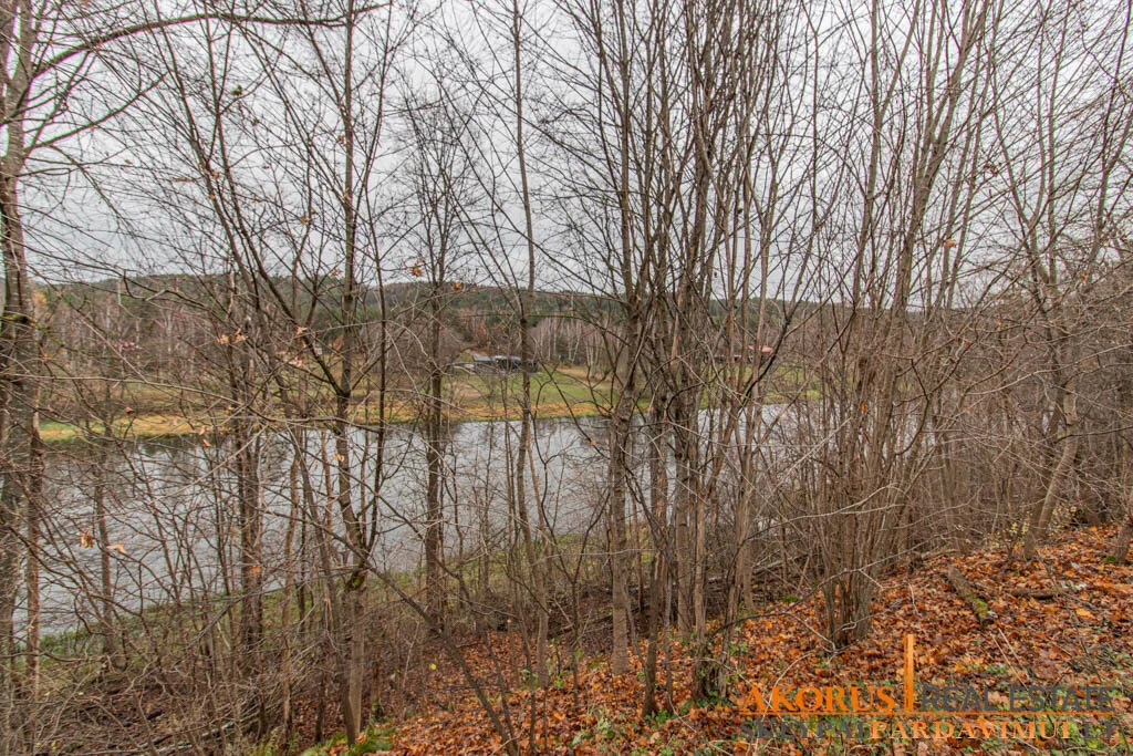 Sklypas Vilnius, Neravuose, Spyglių g. – nuotrauka 4