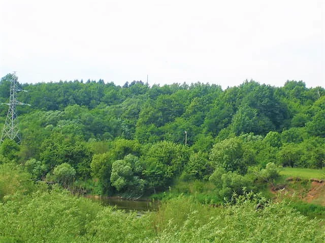 Sklypas Jonavos rajono sav., Spanėnuose, Pakraščio g. – nuotrauka 4