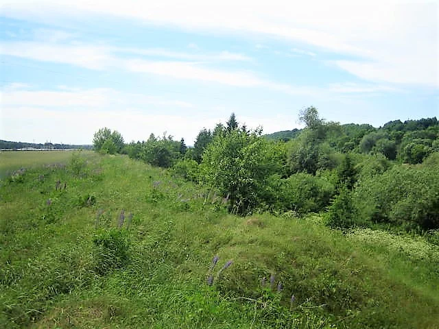 Sklypas Jonavos rajono sav., Spanėnuose, Pakraščio g. – nuotrauka 3