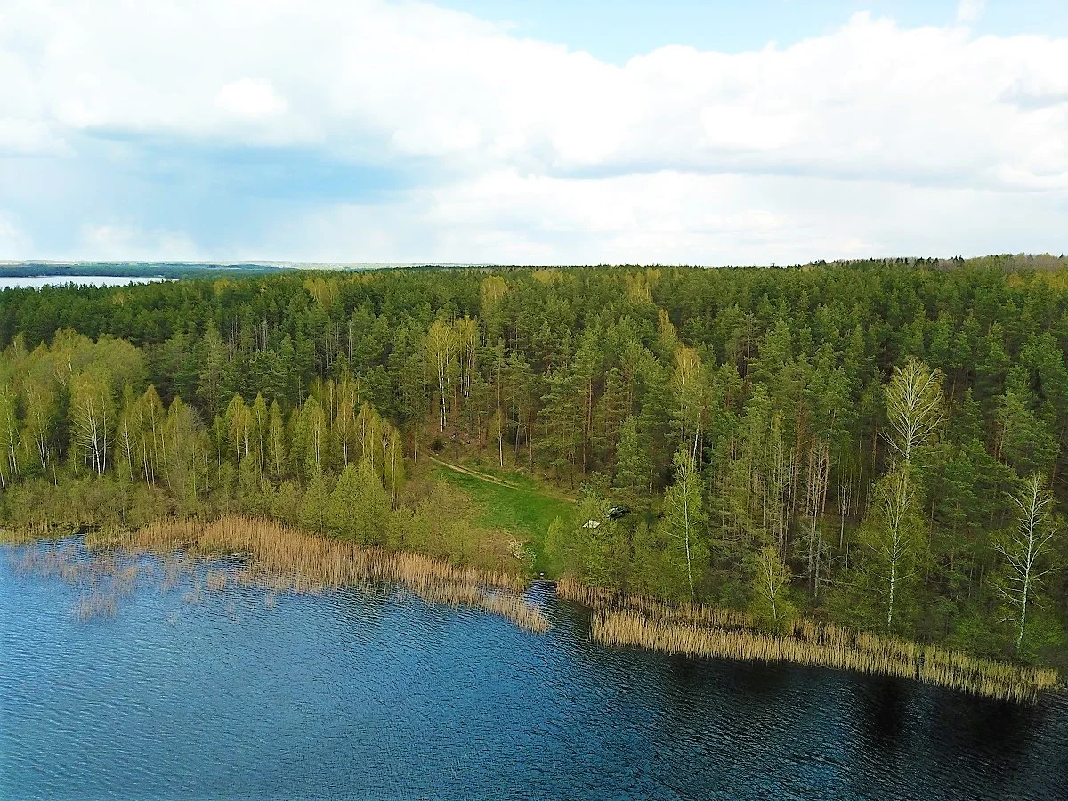 Sklypas Lazdijų rajono sav., Pazapsiuose, Ragožės g. – nuotrauka 5