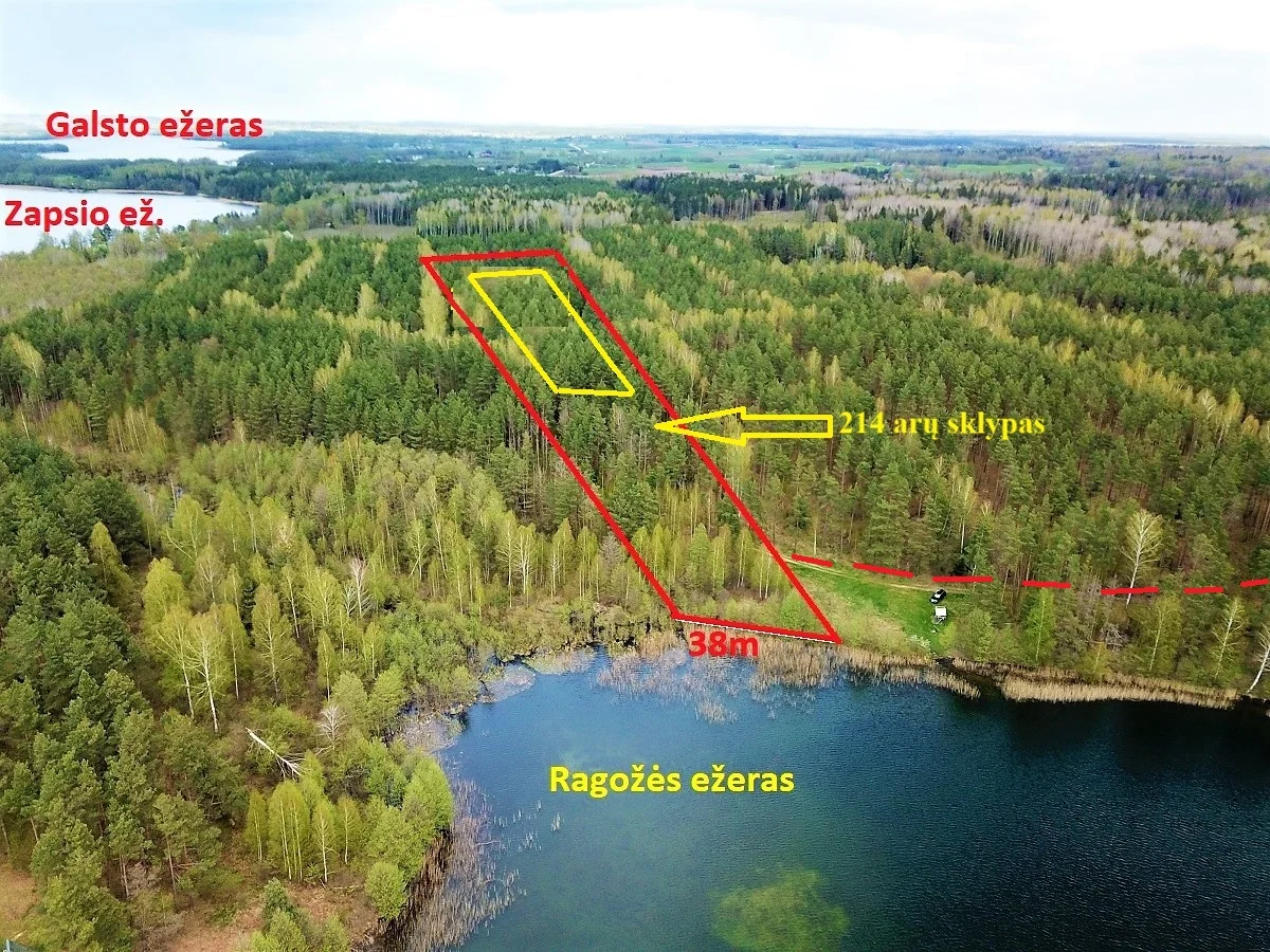 Sklypas Lazdijų rajono sav., Pazapsiuose, Ragožės g. – nuotrauka 4