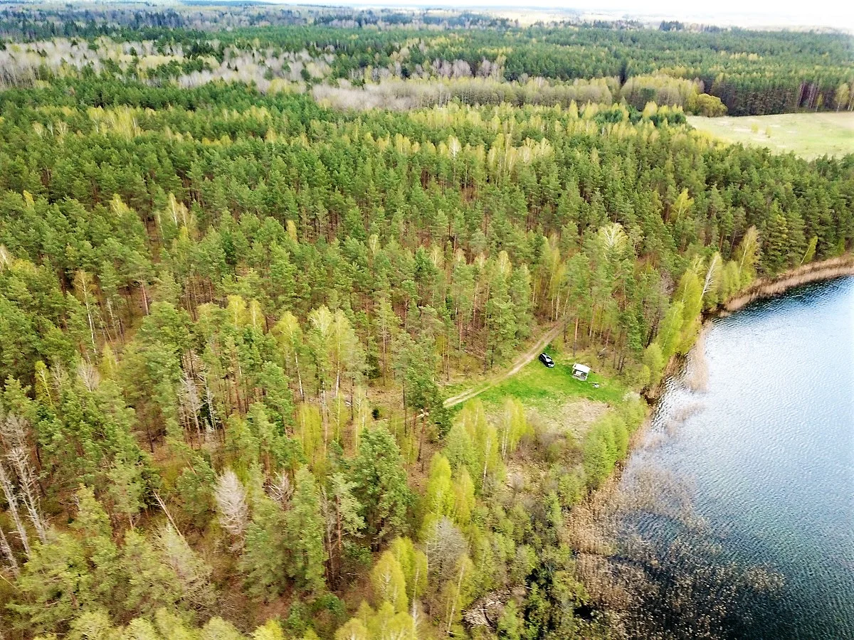 Sklypas Lazdijų rajono sav., Pazapsiuose, Ragožės g. – nuotrauka 3