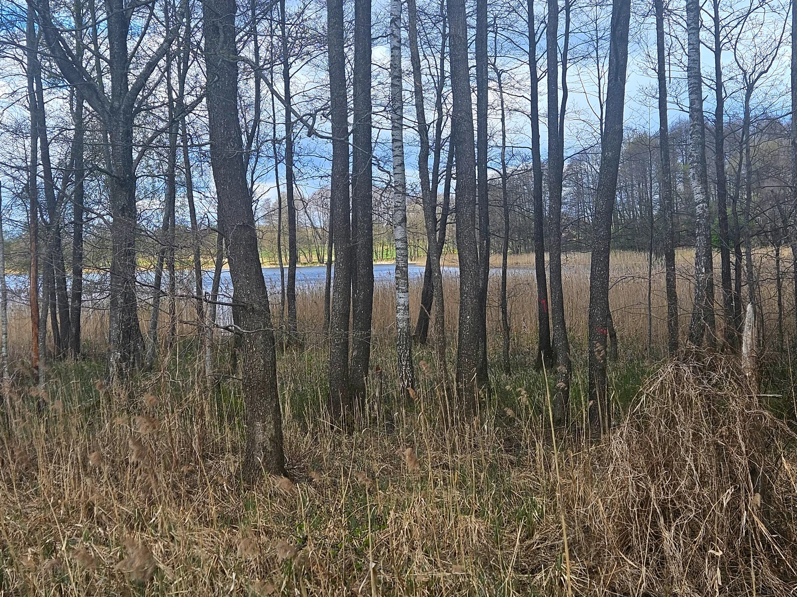 Sklypas Molėtų rajono sav., Bekupėje, Sodų g. – nuotrauka 4