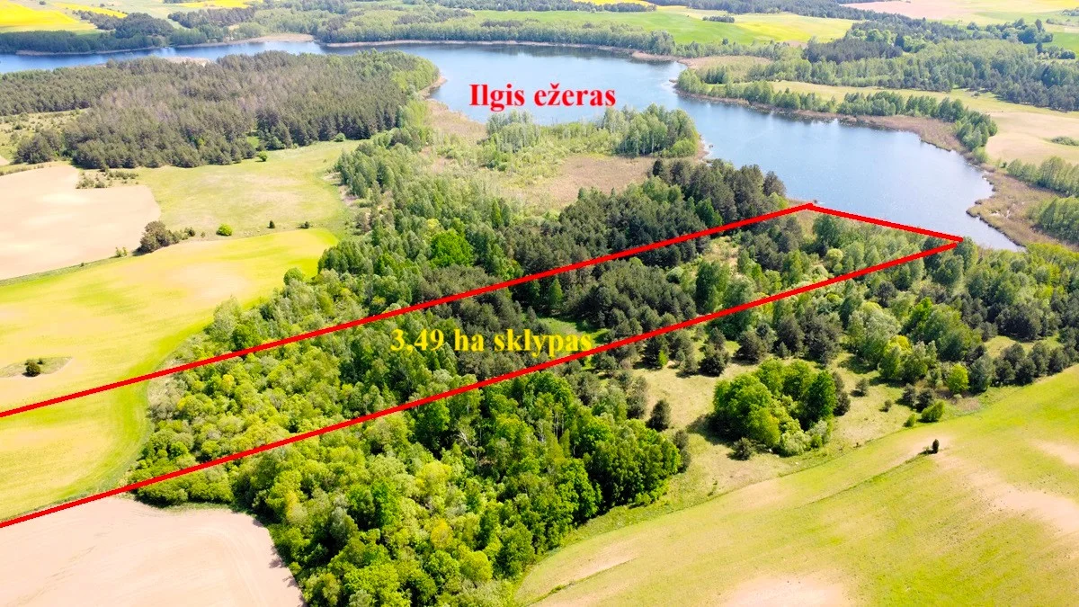 Sklypas Lazdijų rajono sav., Šadžiūnuose – nuotrauka 5