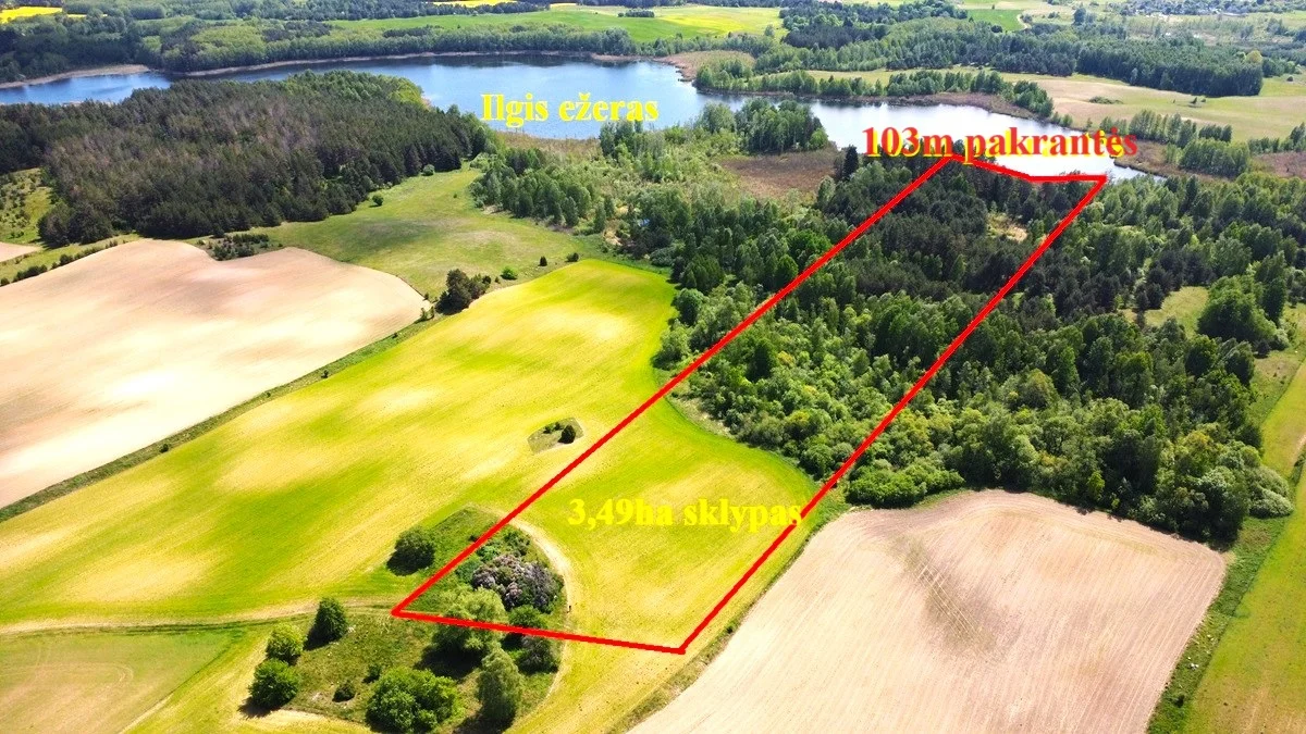 Sklypas Lazdijų rajono sav., Šadžiūnuose – nuotrauka 4