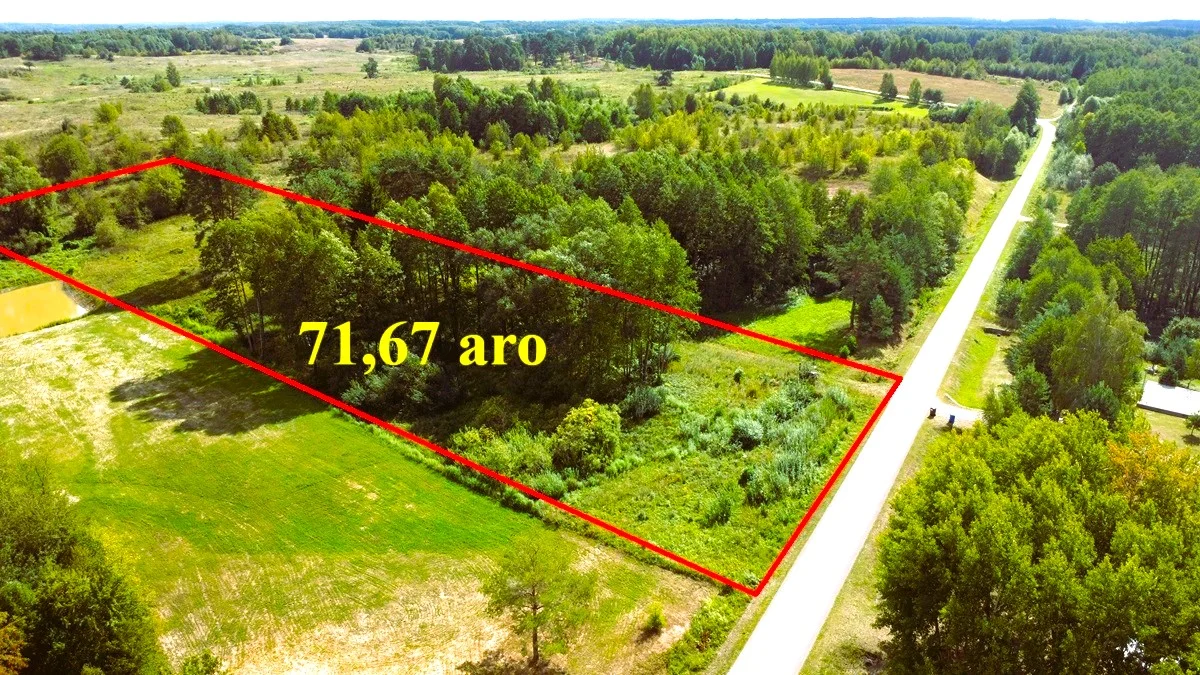 Sklypas Lazdijų rajono sav., Beviršiuose, Galadusio g. – nuotrauka 4