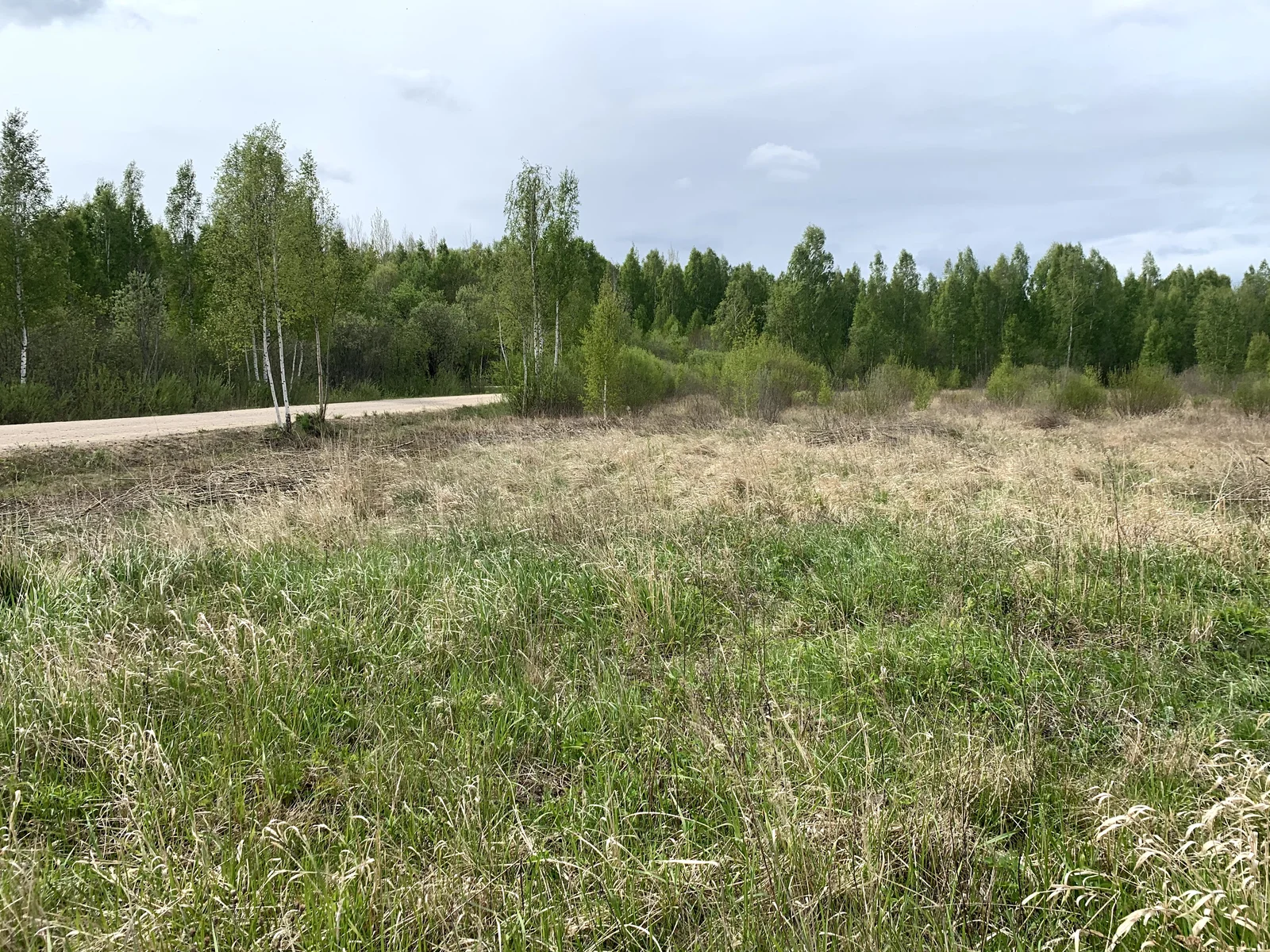 Sklypas Šiauliuose Pabaliuose, Žemynos g. – nuotrauka 5