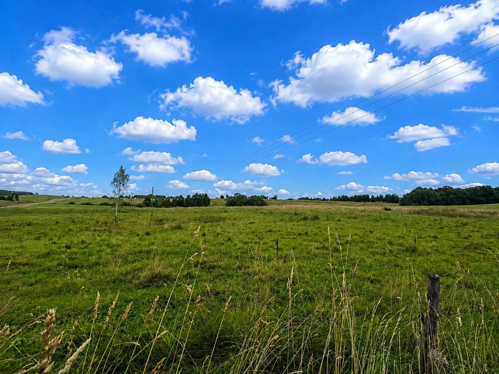 Sklypas Molėtų rajono sav., Žiūruose, Žiūrų g. – nuotrauka 5