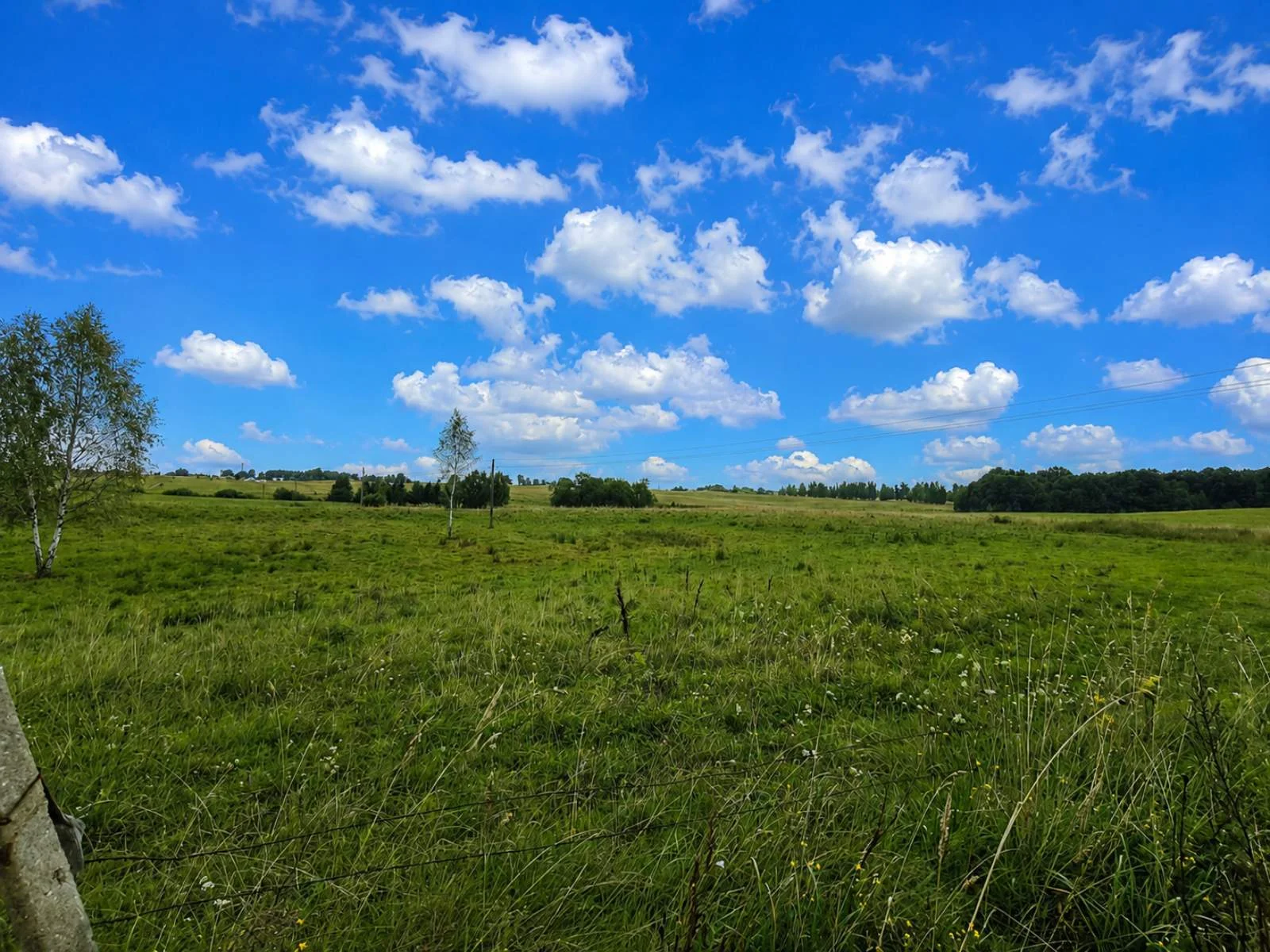 Sklypas Molėtų rajono sav., Žiūruose, Žiūrų g. – nuotrauka 6