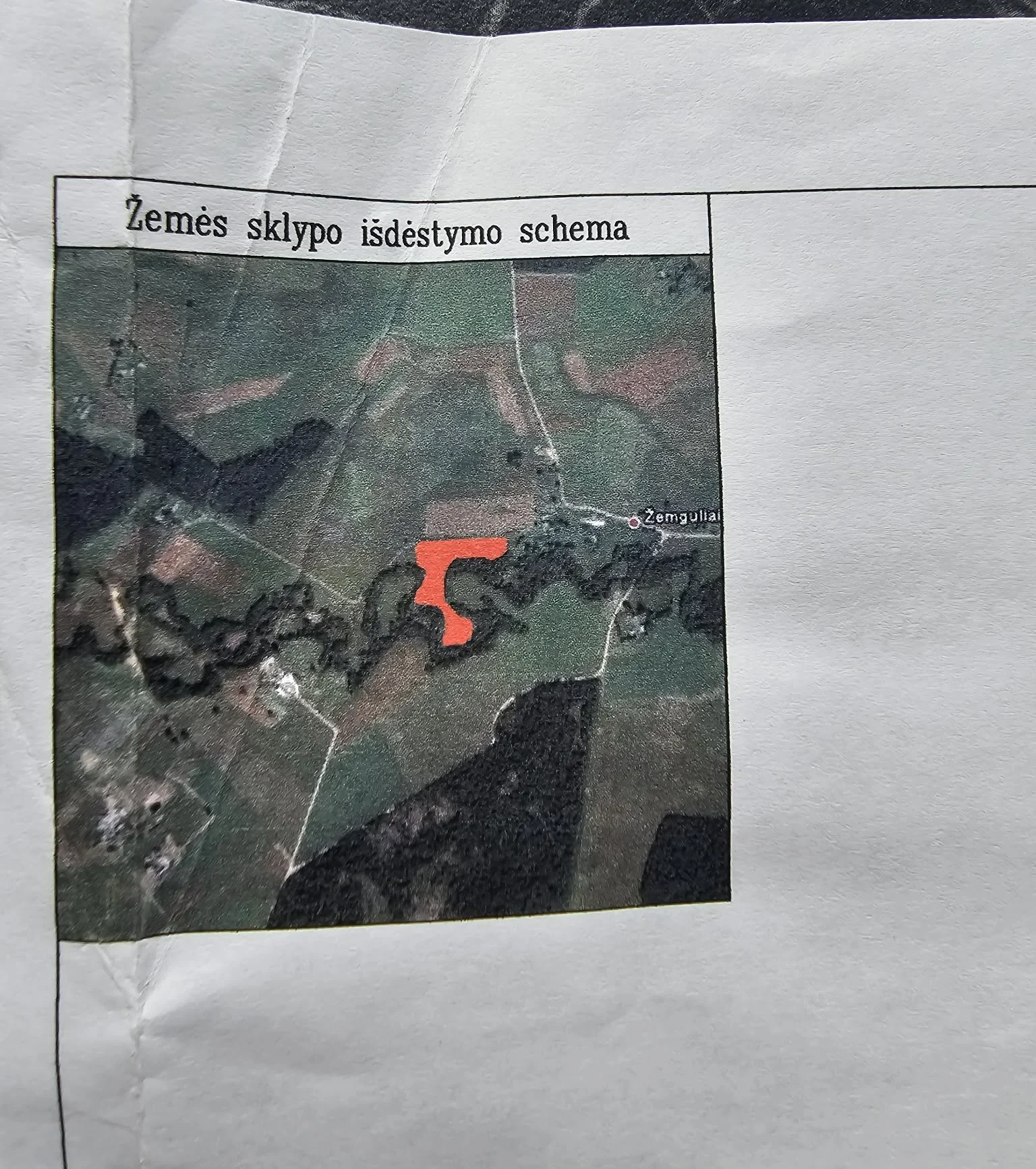 Sklypas Klaipėdos rajono sav., Žemguliuose, Veiviržo g. – nuotrauka 3